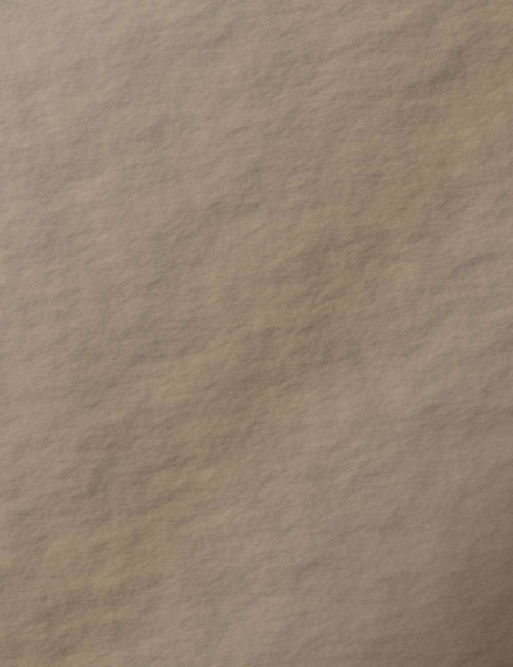 Lime plaster in raking light